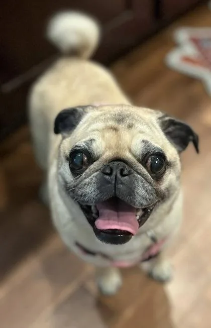 Riley