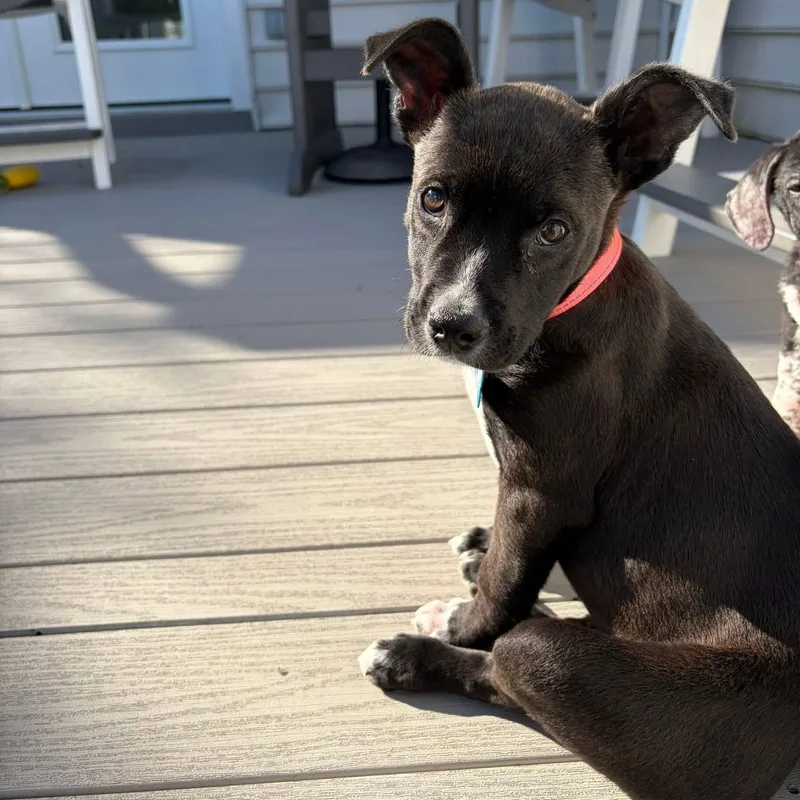 Buster thumbnail 3