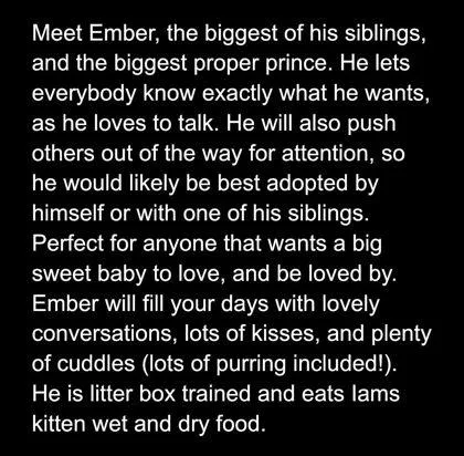 Ember thumbnail 2