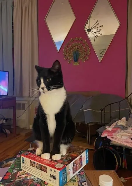 Lt. Van Buren thumbnail 2