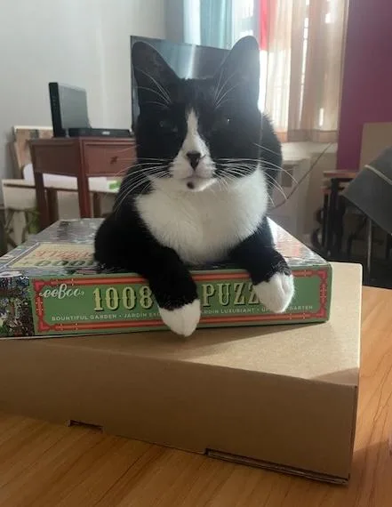 Lt. Van Buren thumbnail 6