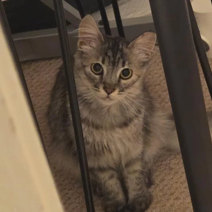 Flourescent thumbnail 2