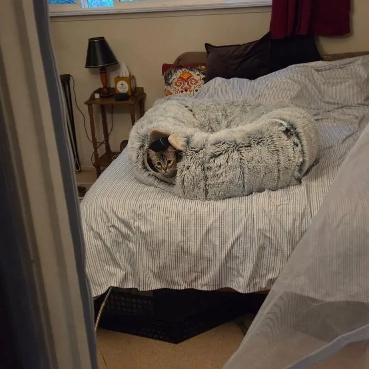 Flourescent thumbnail 3