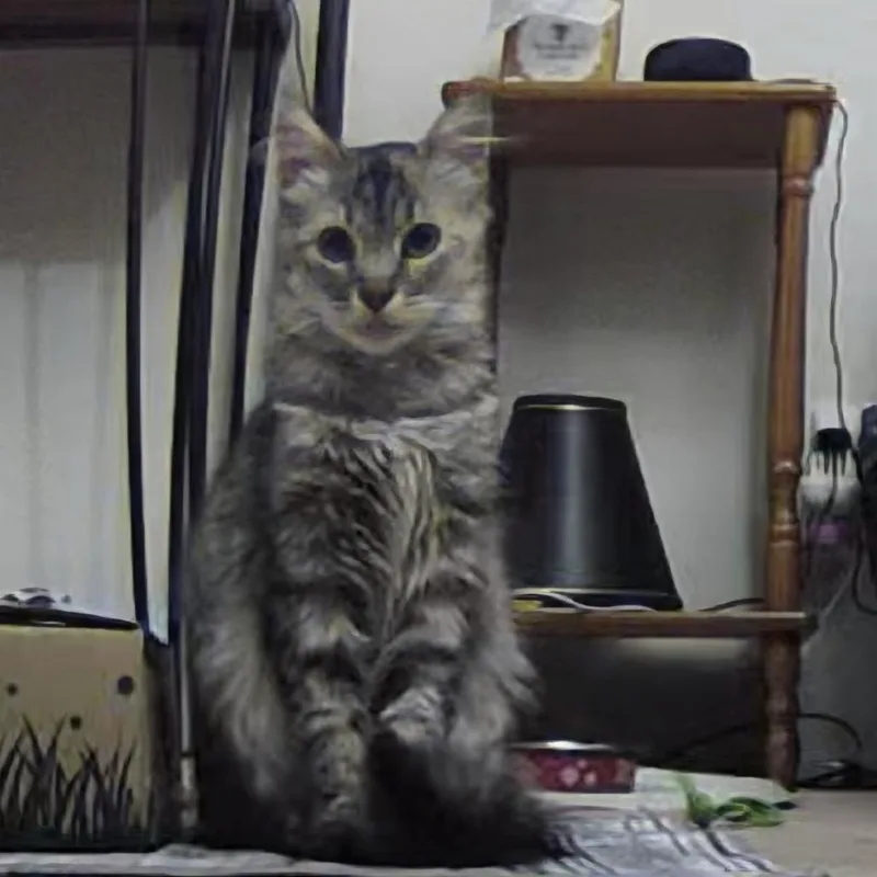 Flourescent thumbnail 4