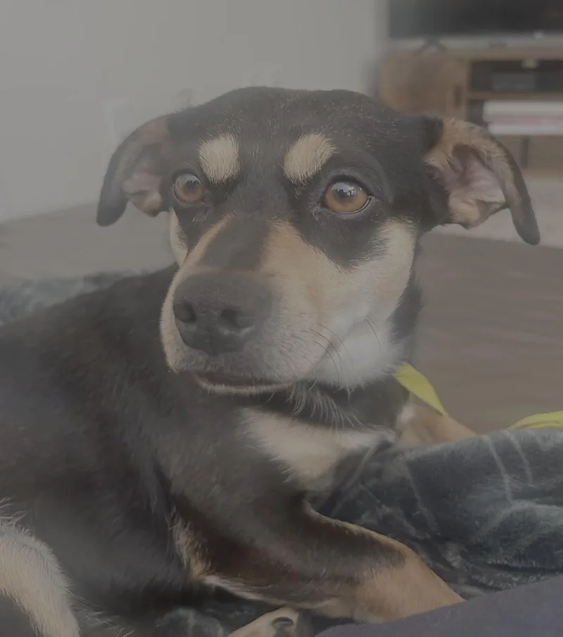 Buster thumbnail 2