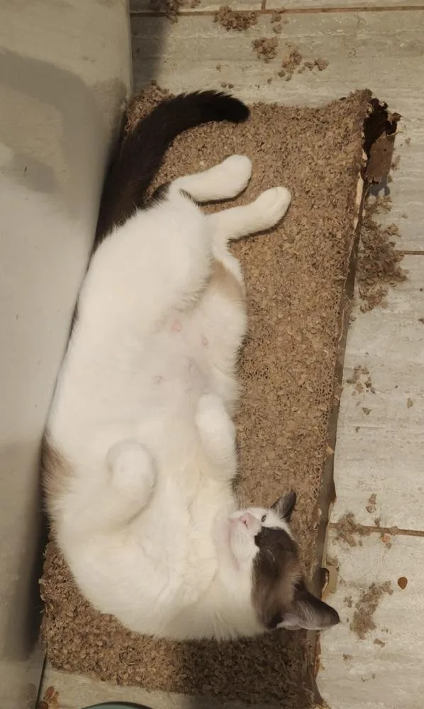 Nina Marie thumbnail 3