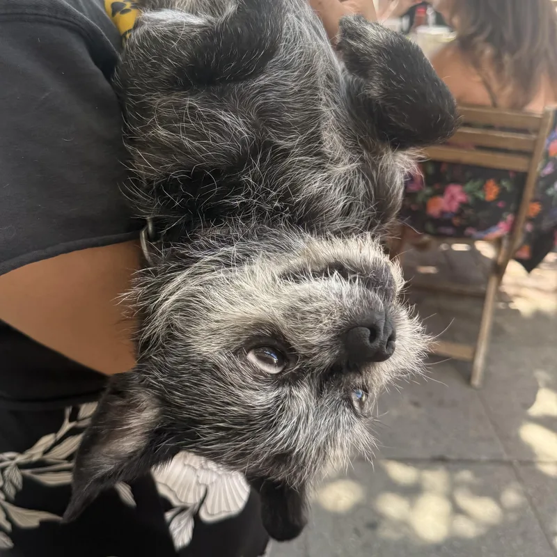 Roxie
