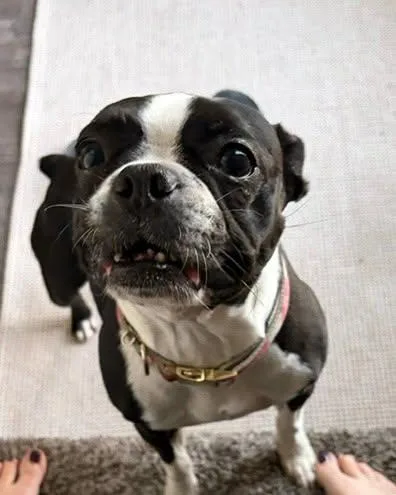 Lucy thumbnail 4