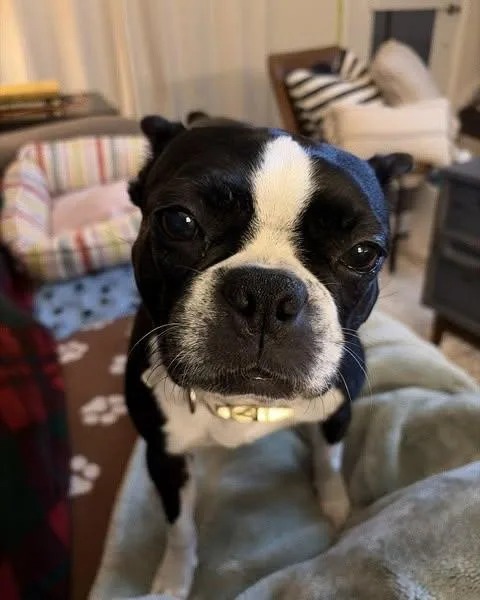 Lucy thumbnail 5