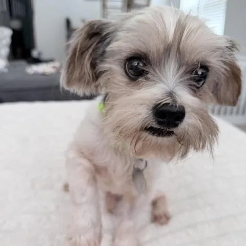 Teddy Barkington thumbnail 2