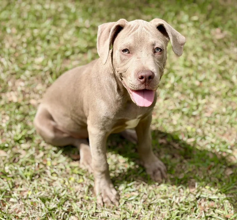 Clairbear thumbnail 2