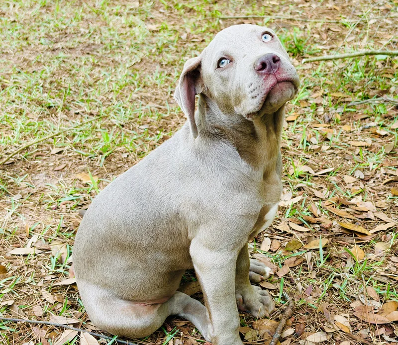 Clairbear thumbnail 4