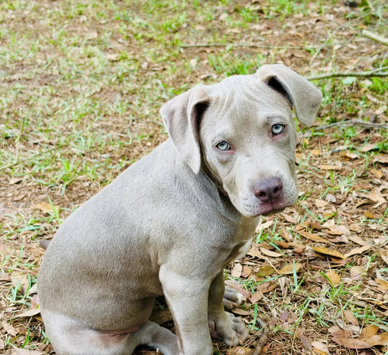 Clairbear thumbnail 5