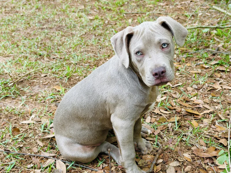 Clairbear thumbnail 6