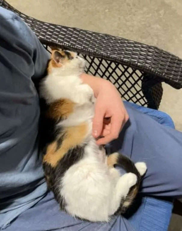 Kiki thumbnail 6