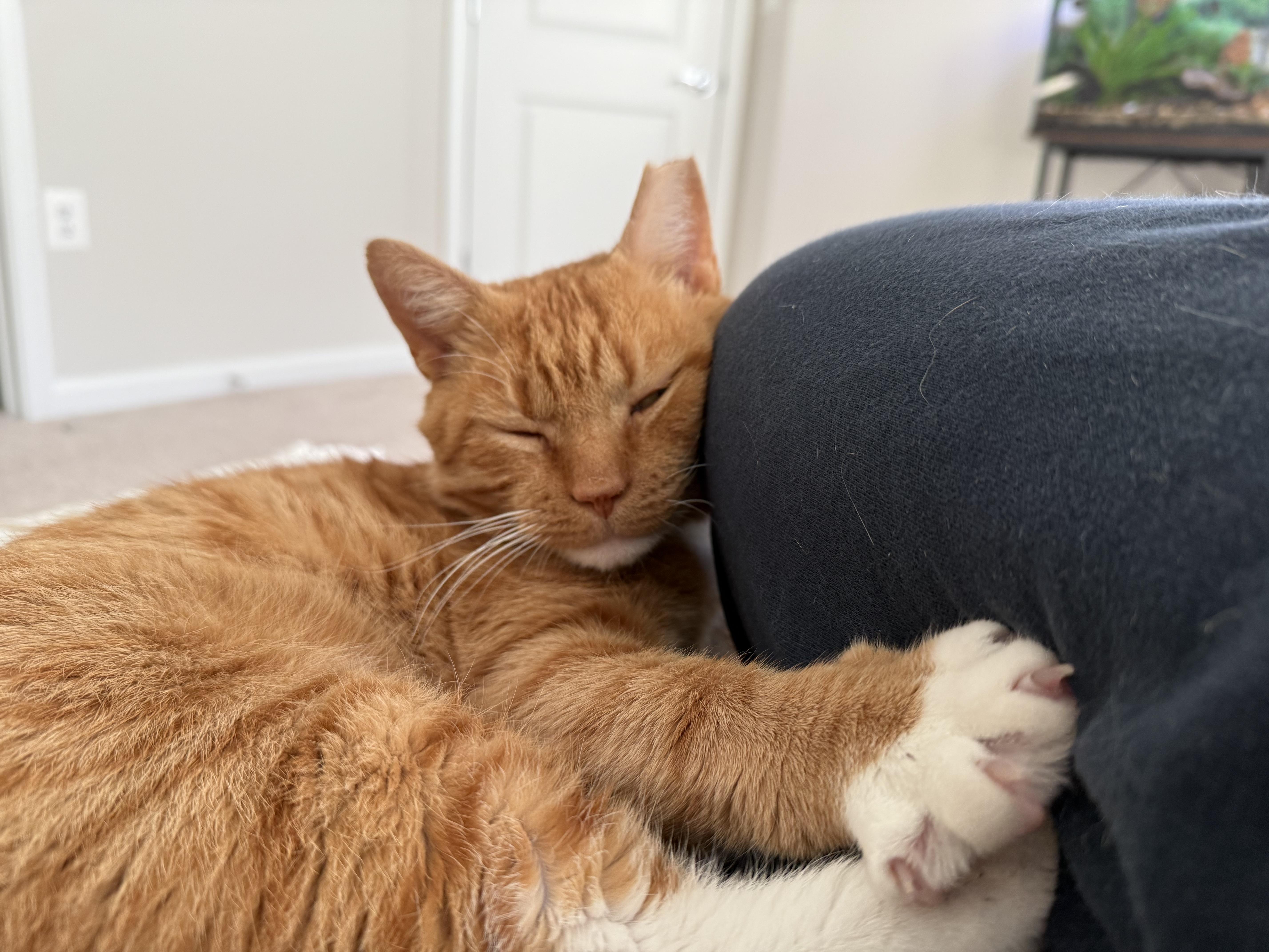 Garfield — Big Personality