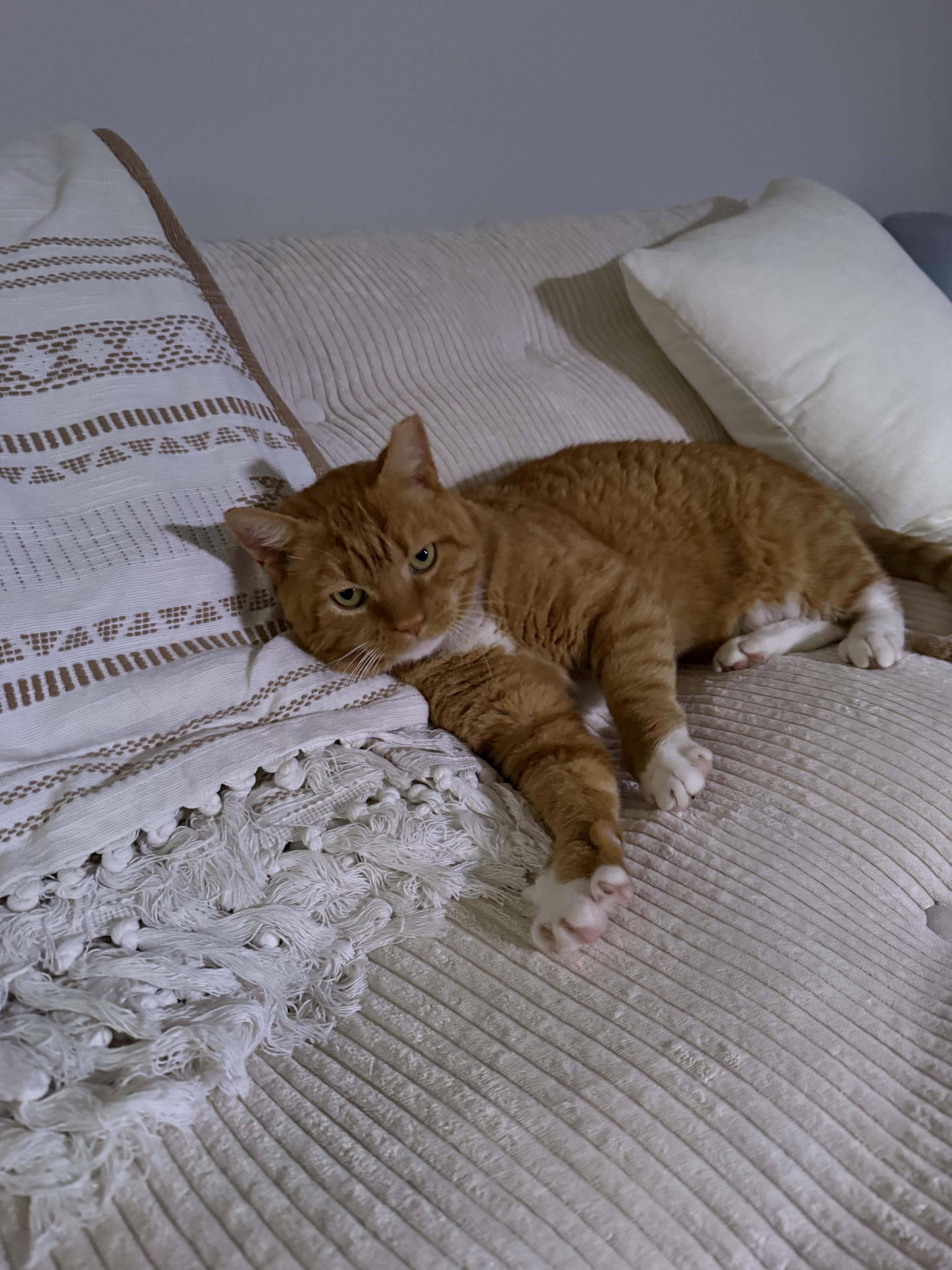 Garfield — Big Personality thumbnail 5