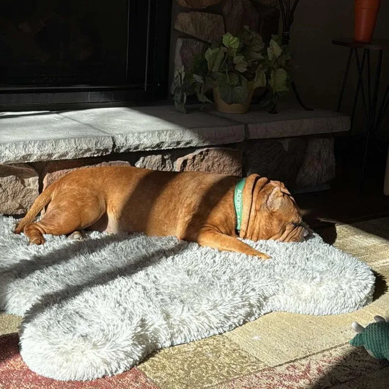 Gertrude thumbnail 4