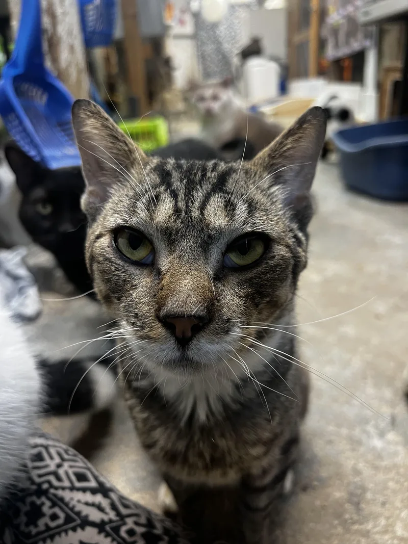 Matteo N.  Very thumbnail 2