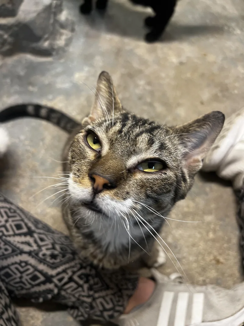 Matteo N.  Very thumbnail 3