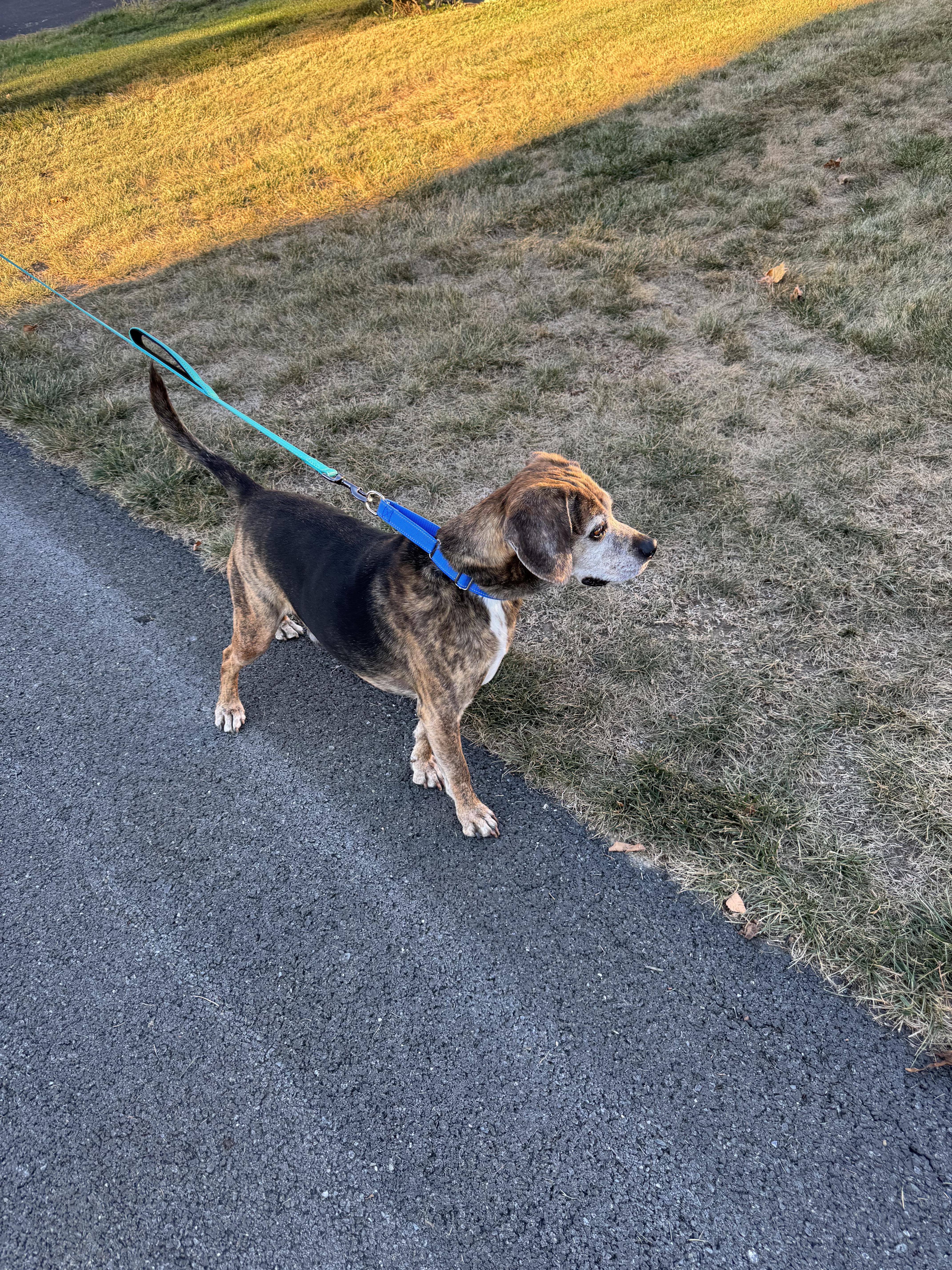 Joey Tribbiani thumbnail 2