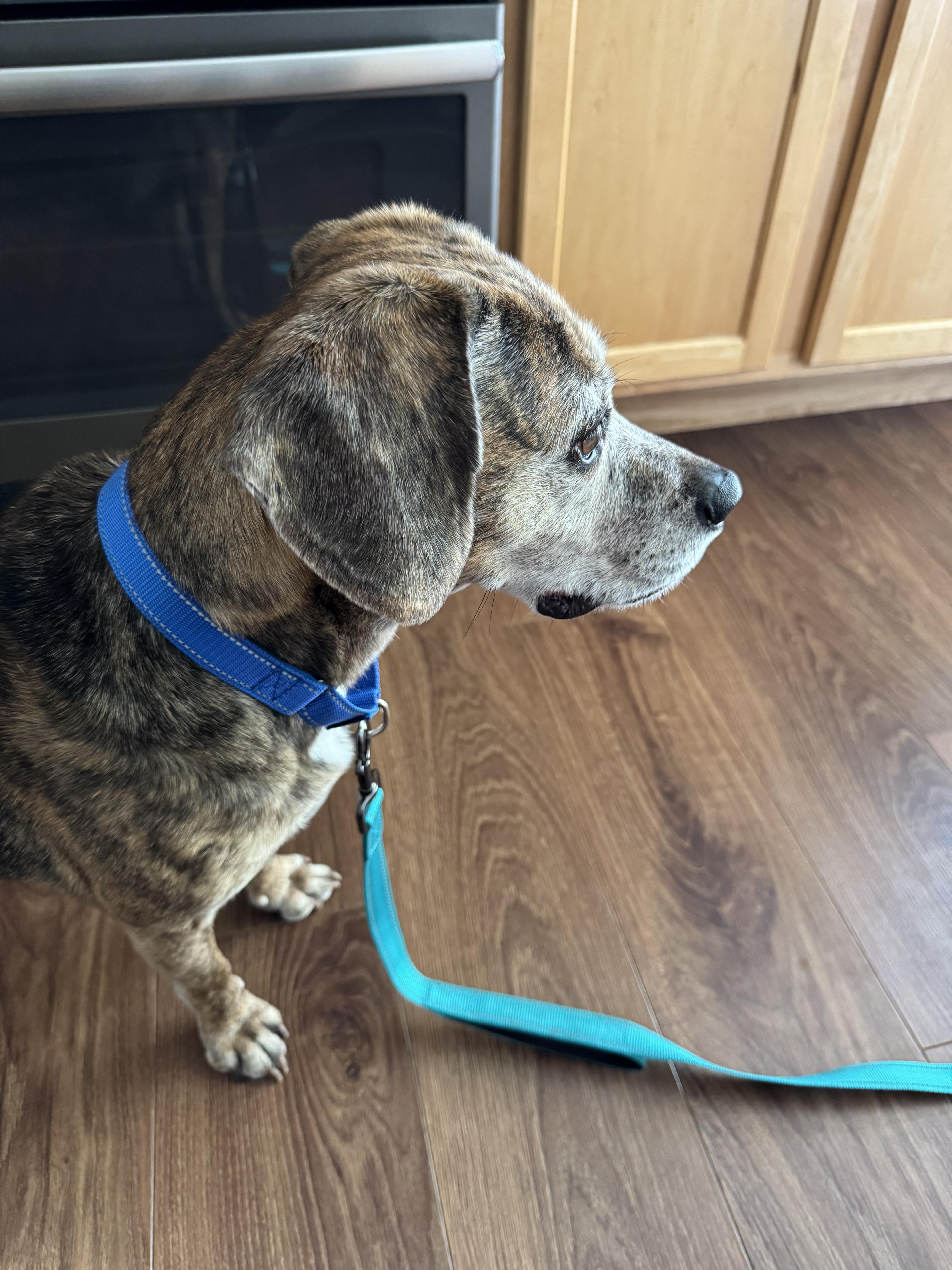 Joey Tribbiani thumbnail 4