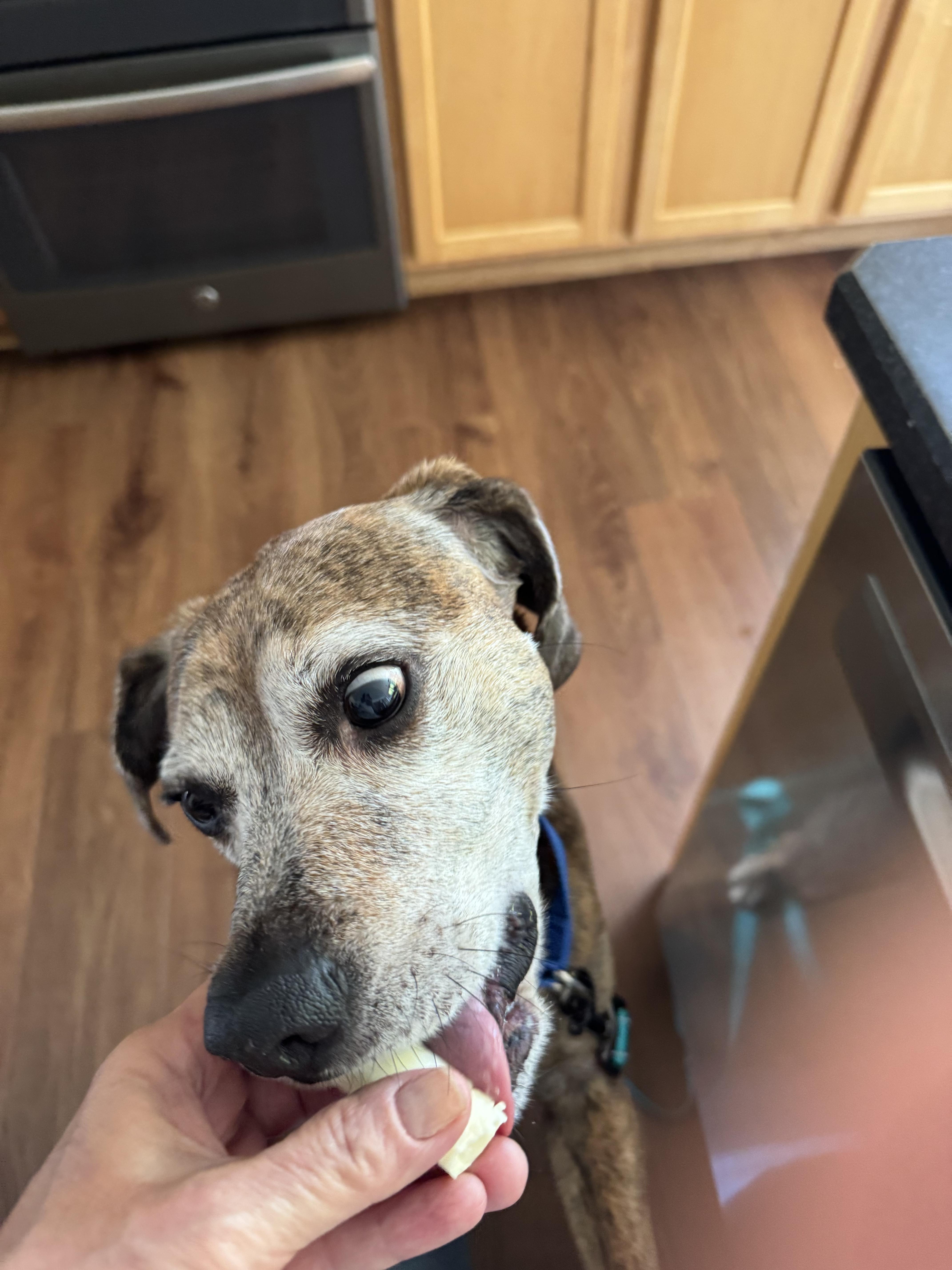 Joey Tribbiani thumbnail 5