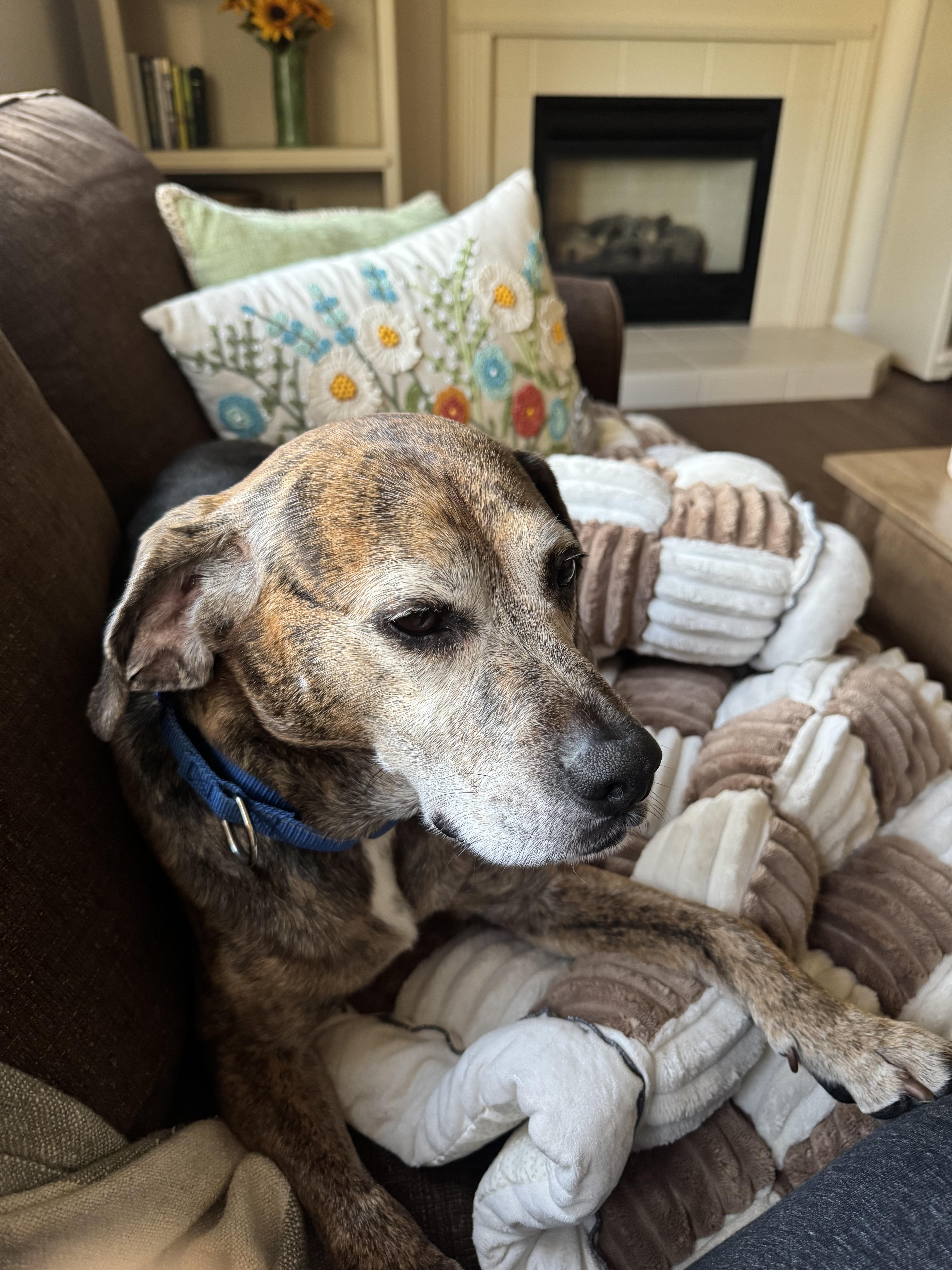 Joey Tribbiani thumbnail 6