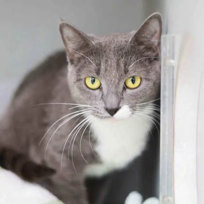 Charlene thumbnail 2