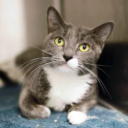 Charlene thumbnail 3