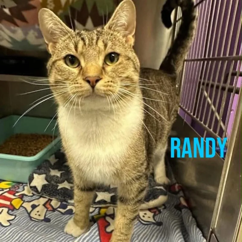 Randy