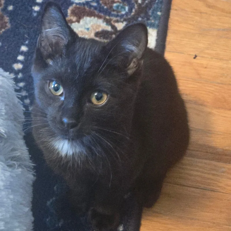 Heath & Harrison thumbnail 3