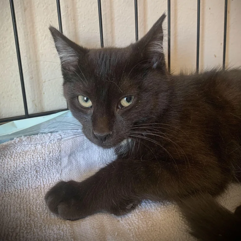 Heath & Harrison thumbnail 4