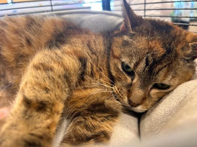 Mama Darby thumbnail 2