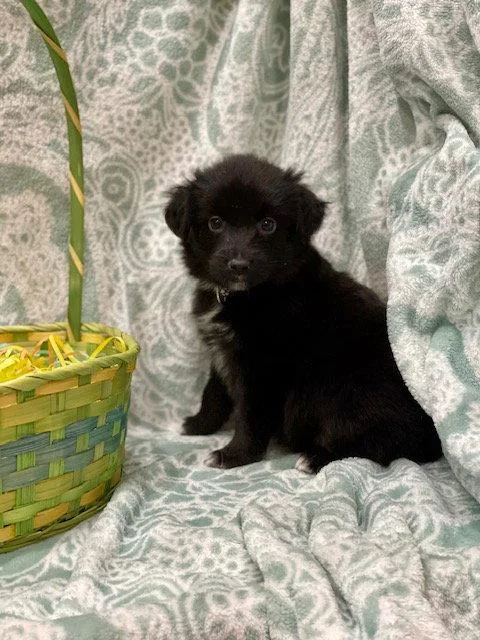 Mcdreamy thumbnail 2