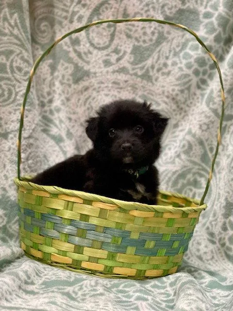 Mcdreamy thumbnail 3