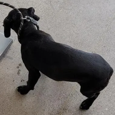 Spongebob thumbnail 3