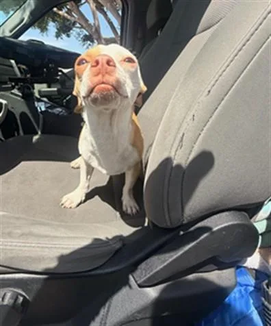 Cool Guy