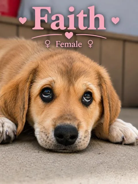 Faith thumbnail 2