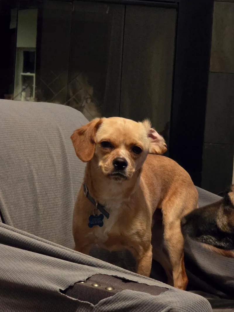 Burt thumbnail 2
