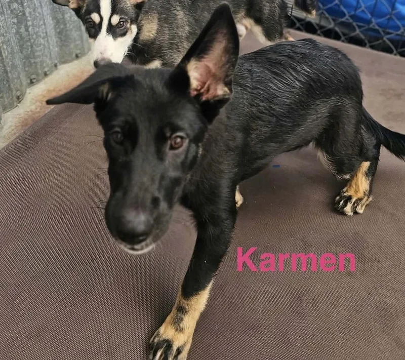 Karmon thumbnail 2