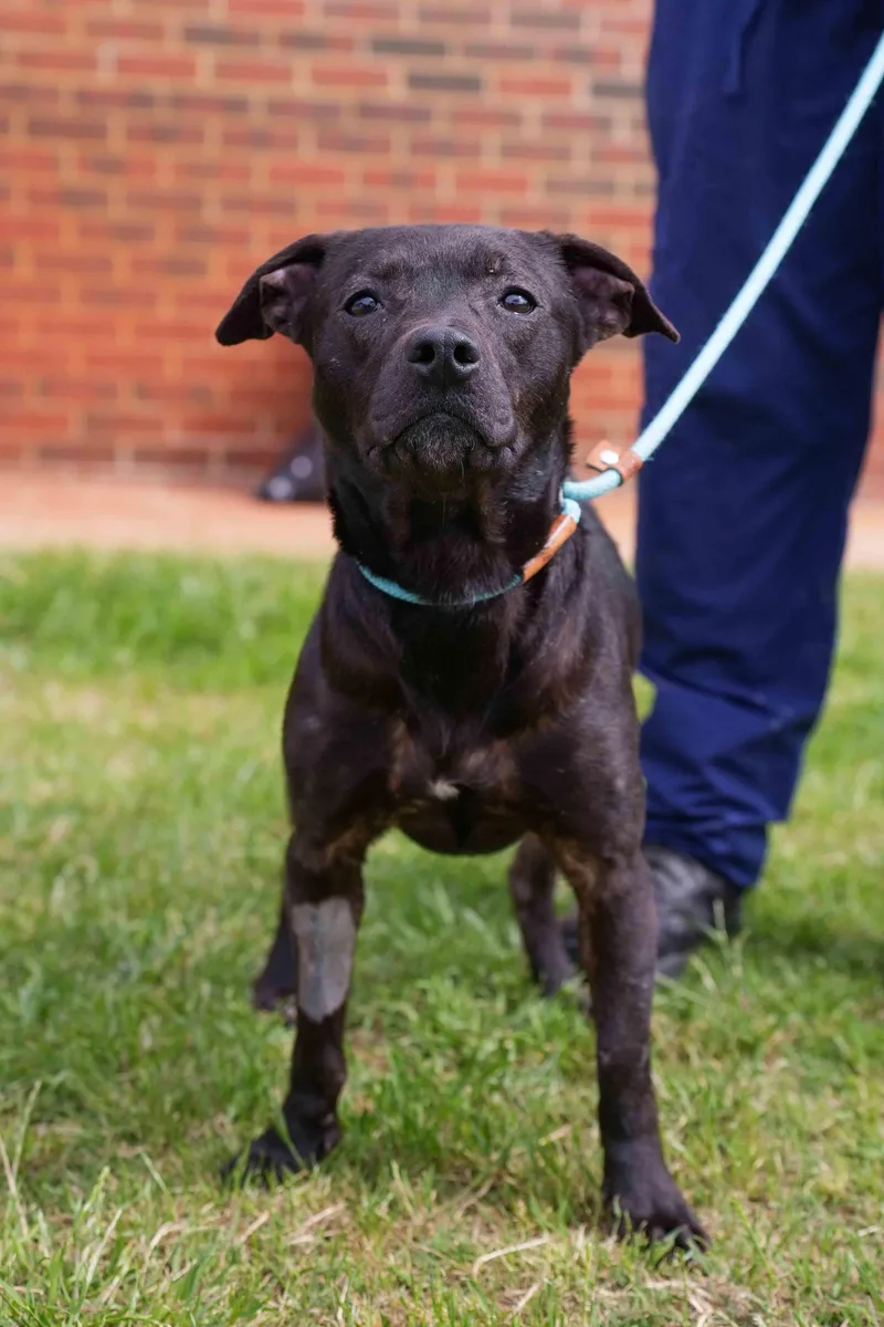 Winnifred thumbnail 2