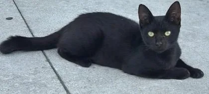 Mae