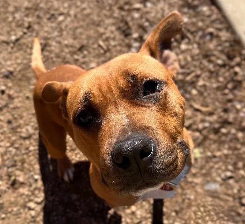 Franny A thumbnail 2