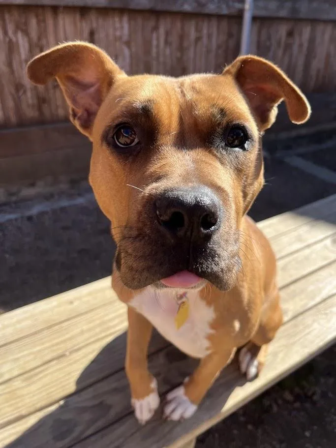 Franny A thumbnail 6