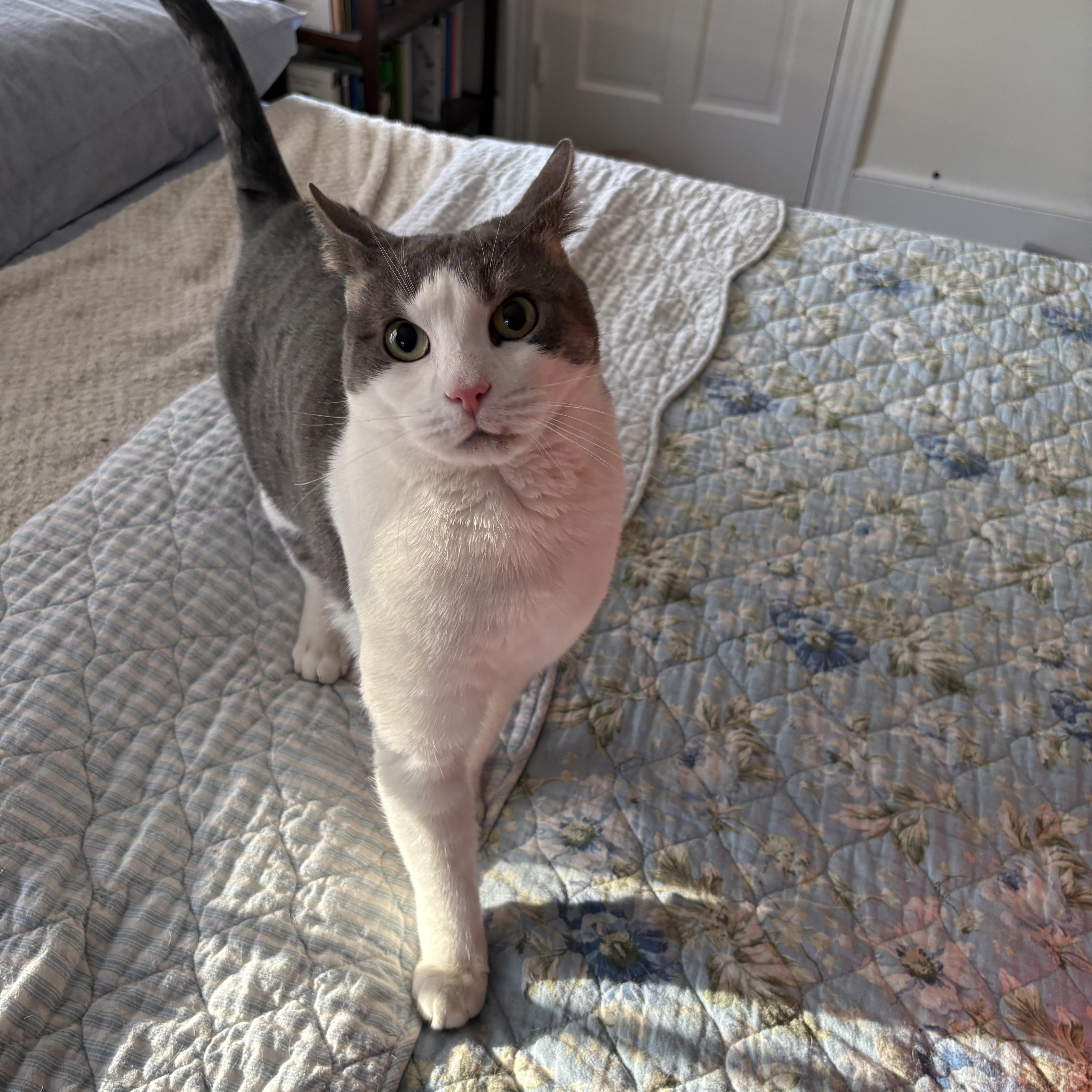 Man Of Your Dreams thumbnail 3