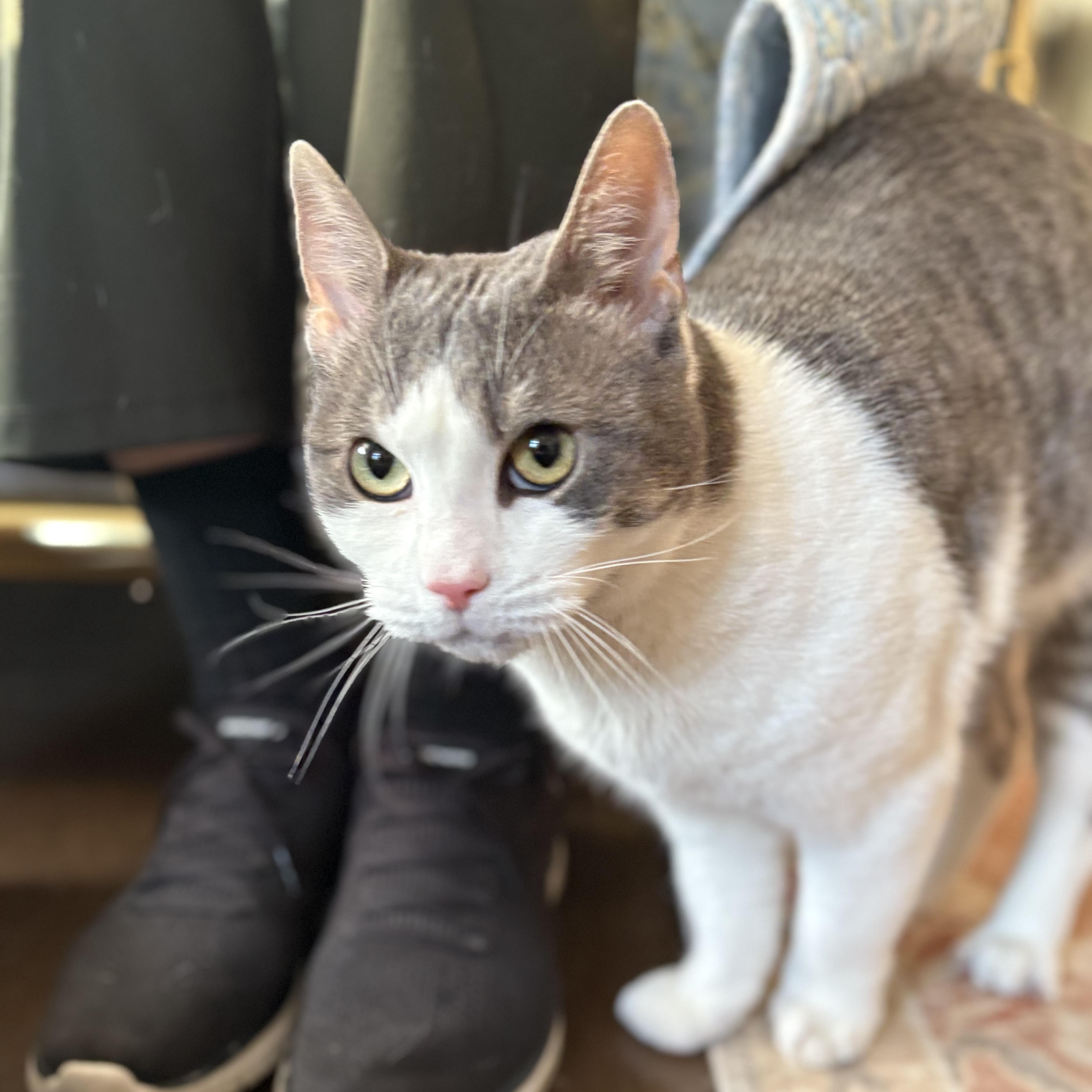 Man Of Your Dreams thumbnail 4