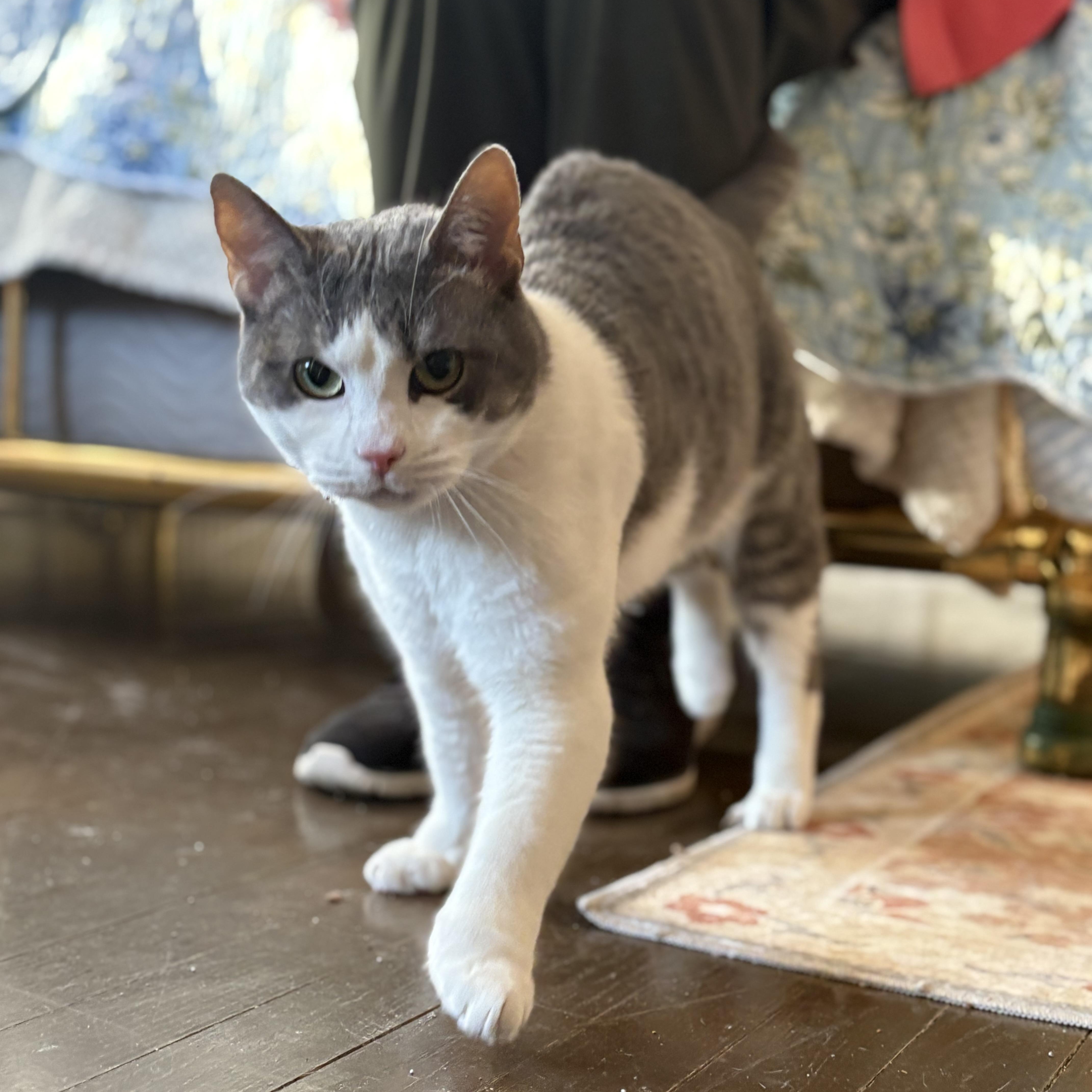 Man Of Your Dreams thumbnail 5