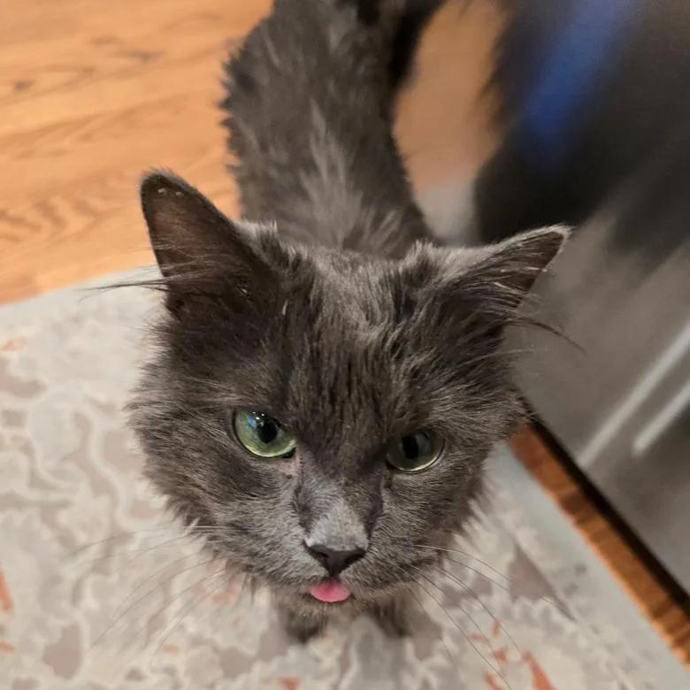 Peabody Smalls thumbnail 3