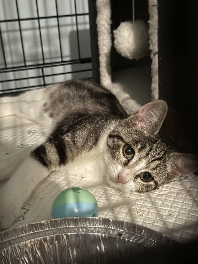 Fred And Wilma thumbnail 2